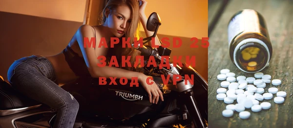 мяу мяу мука Елизово