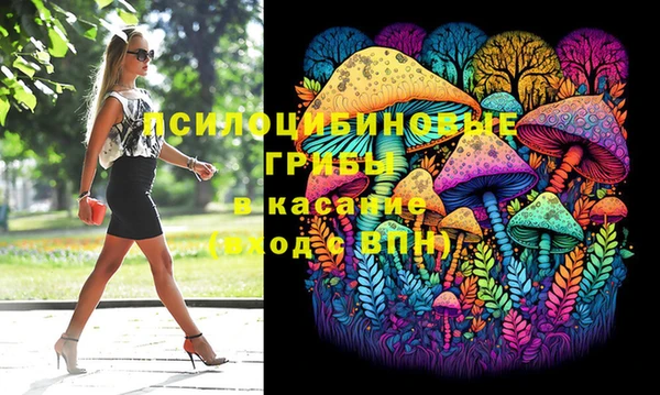 ГАЛЛЮЦИНОГЕННЫЕ ГРИБЫ Дмитров