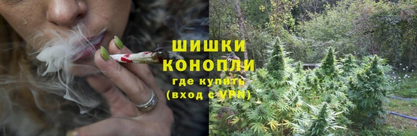 альфа пвп Дмитровск