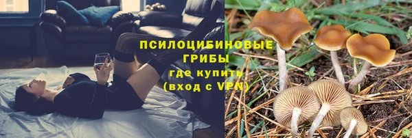 ГАЛЛЮЦИНОГЕННЫЕ ГРИБЫ Дмитров