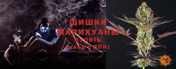 ГАЛЛЮЦИНОГЕННЫЕ ГРИБЫ Дмитров