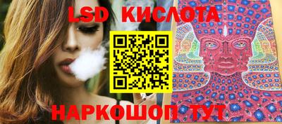 jwh Кингисепп