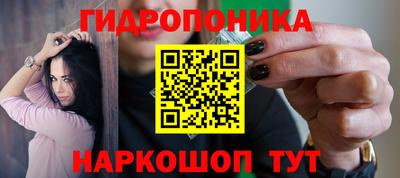 стафф Кинель