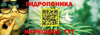 стафф Кинель