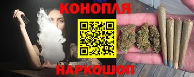 jwh Кингисепп