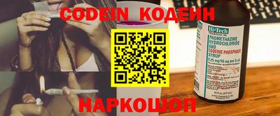 jwh Кингисепп