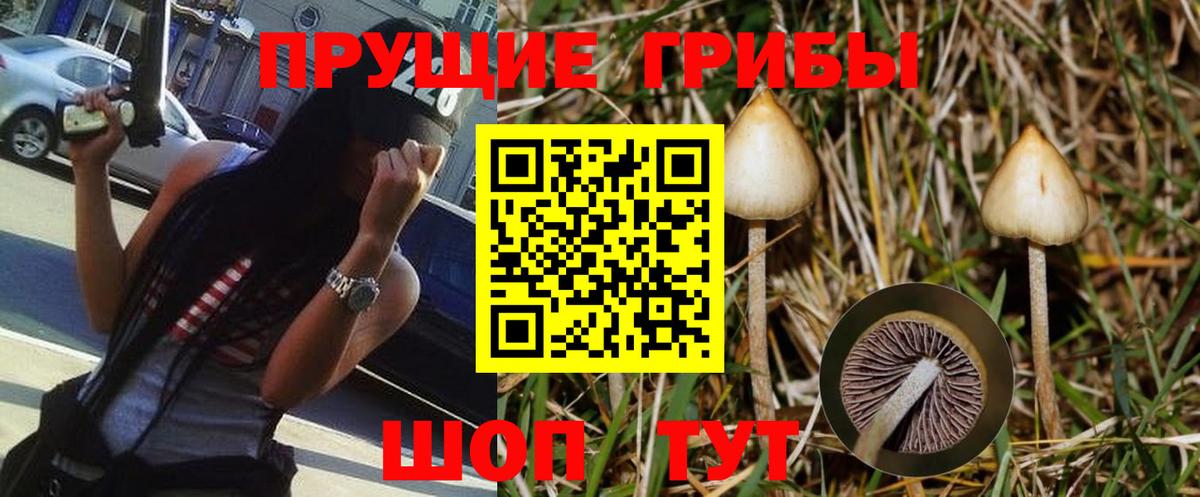 Псилоцибиновые грибы мухоморы Лабинск