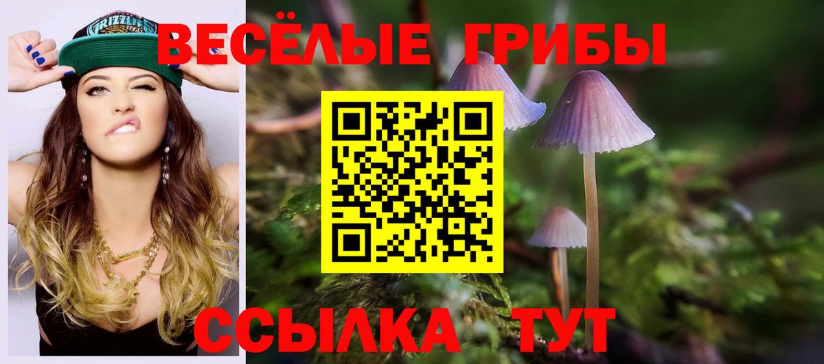 Лабинск  Псилоцибиновые грибы мухоморы  Псилоцибиновые грибы Cubensis  Вход с VPN 